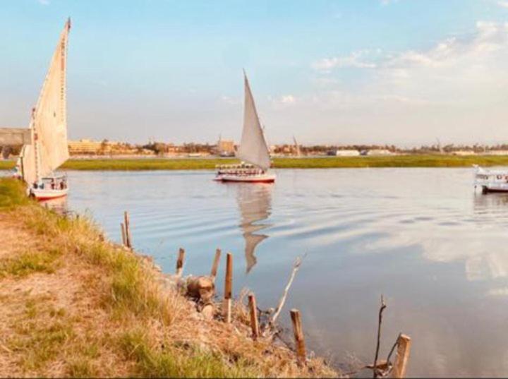 فندق البعيرات الأقصر المظهر الخارجي الصورة